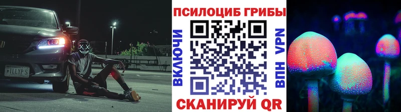 ОМГ ОМГ как зайти  Курлово  Галлюциногенные грибы Cubensis  купить наркотик 